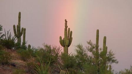 Video thumbnail: Arizona Week November 3, 2017