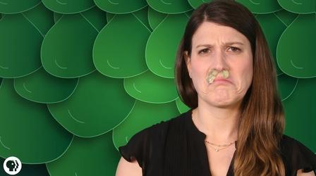 Video thumbnail: Gross Science Everything You Didn't Want To Know About Snot