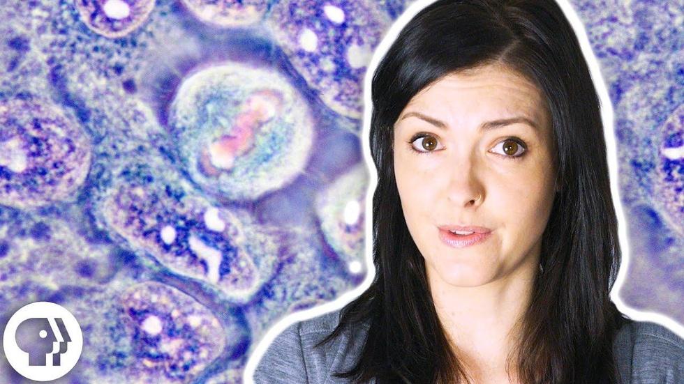 S3 Ep20: Do You Own Your Cells? image