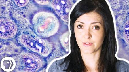 Video thumbnail: BrainCraft Do You Own Your Cells?
