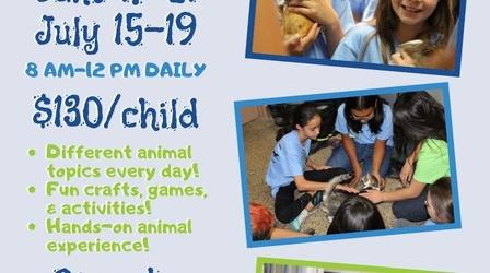 Video thumbnail: byYou Education Pawsitive Adventures Animal Camp: Enroll Now!