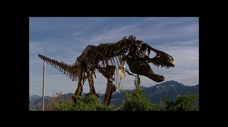 Video thumbnail: Science Trek D4K: Dinosaurs with Jack Horner