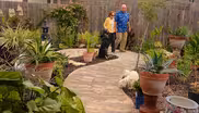 New Garden Designs