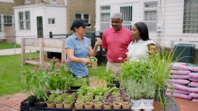 E22 | Urban Gardens, Apron Driveway | Ask This Old House