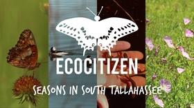 Video thumbnail: Local Routes 7. EcoCitizen Show | Seasons in South Tallahassee