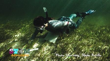 Video thumbnail: WFSU Education What Is It Like To Be a Marine Ecologist?