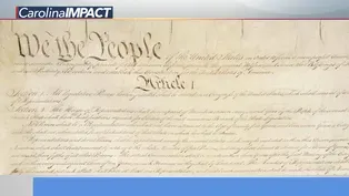The Constitution in our Lives