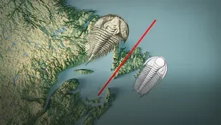 Are All Oceans Basically Reincarnated?