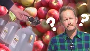 How Do Hoosiers Make Apple Cider?