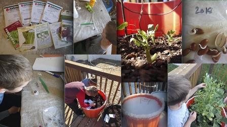 Video thumbnail: Backyard Farmer Backyard Farmer: Digging Deeper: Gardening With Kids