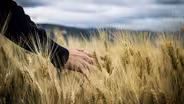 Harvesting Science