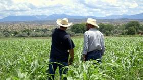 Video thumbnail: Chef Driven Just Beyond the Corn Belt