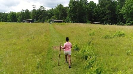 Video thumbnail: NC Weekend Promo for July 2, 2020