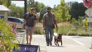 A Dog's Service | Preview