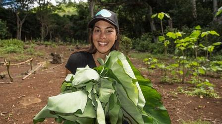 Video thumbnail: Family Ingredients Lana’i Venison