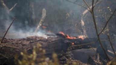 Illegal campfire may have started massive Mullica River fire