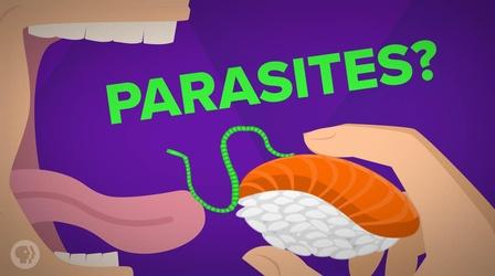 Video thumbnail: Be Smart Will You Still Eat Raw Fish After Watching This Video?