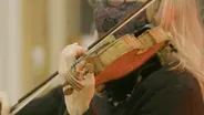The Music