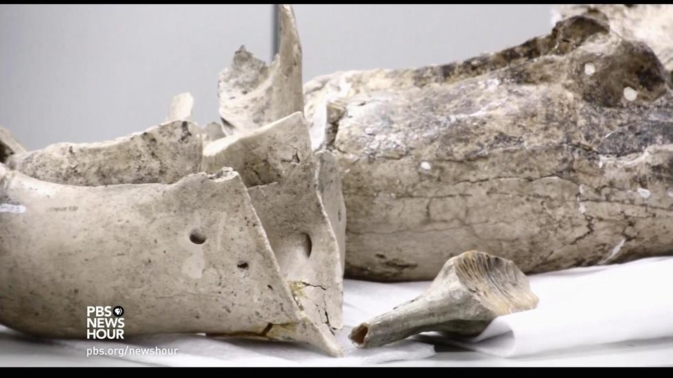 How this remote national park made a mammoth discovery image