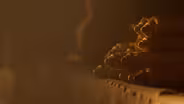 Preview | The Herculaneum Scrolls