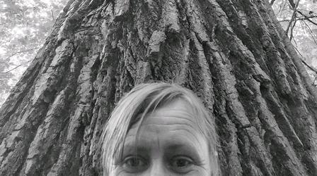 Video thumbnail: Prairie Sportsman Fast Forage: The Cottonwood Tree