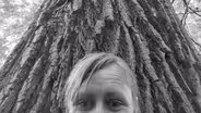 Fast Forage: The Cottonwood Tree