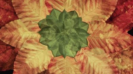 Video thumbnail: Curate 757 Art of Dying: John Wadsworth