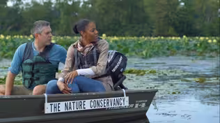 Great Lakes Now Virtual Field Trip - Coastal Wetlands