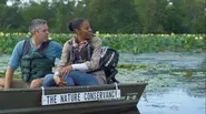 Great Lakes Now Virtual Field Trip - Coastal Wetlands