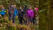 Unlikely Hikers