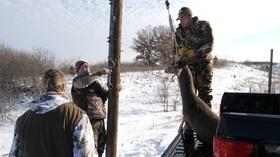 Video thumbnail: Prairie Sportsman Deer in the Big City