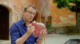 Video thumbnail: Food - Delicious Science The Maillard Reaction: The Science Of The Sizzle