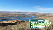 Whooping Cough, Immigration Council Dissolved and A Closer Look at Hanford: October 18, 2024
