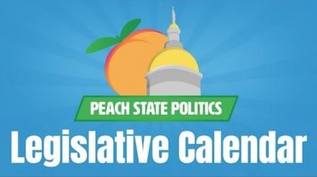 Video thumbnail: Georgia Stories Be Your Own Boss: How Lawmakers Determine When They Work