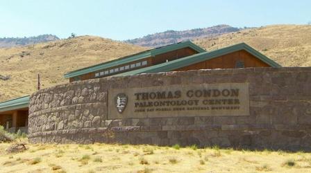 Video thumbnail: OPB Science From the Northwest The Thomas Condon Paleontology Center