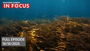 Southwest Florida In Focus | Episode 205 | Oct. 10th, 2025