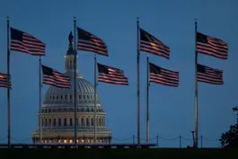 How young Democrats are pushing to redefine the party