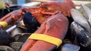 Lobster Bake