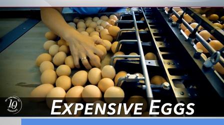 Video thumbnail: Carolina Impact Expensive Eggs