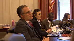 Why are whales dying? NJ lawmakers hear expert opinions