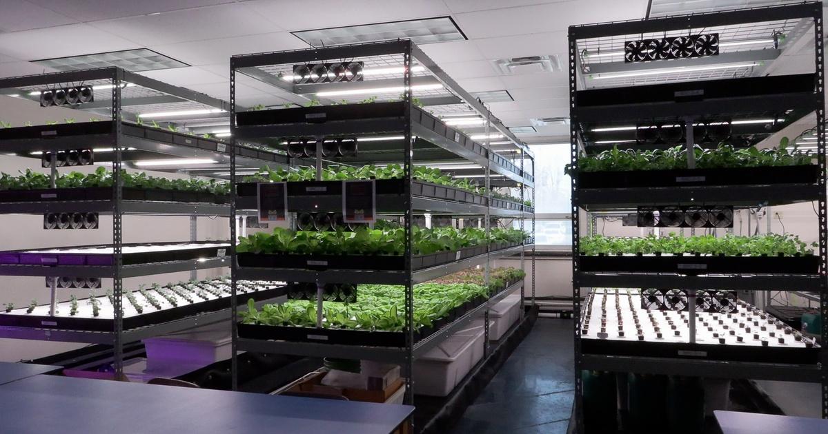 Colorado Voices | A Denver classroom's hydroponic farm | PBS