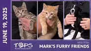 06/19/2025 | Bambi, Hercules and Wilhelmina | Mark's Furry Friends Extra