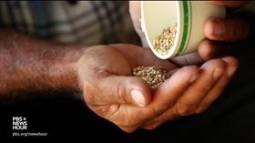 Video thumbnail: PBS NewsHour Drying fields, dying livelihoods push Honduran farmers north