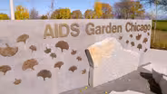 Out in the Sunshine: AIDS Garden Chicago & the Belmont Rocks