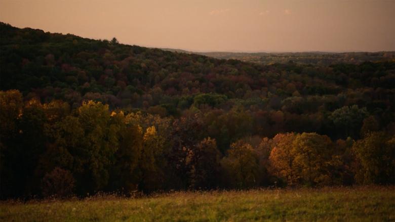 The American Revolution Image