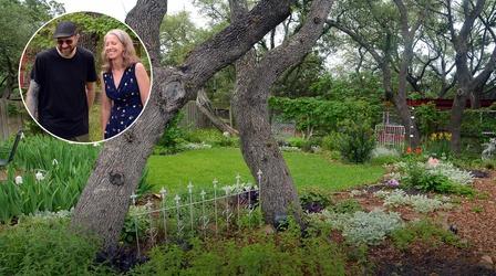 Video thumbnail: Central Texas Gardener Finding Joy in Garden Transitions