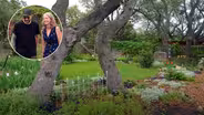 Finding Joy in Garden Transitions