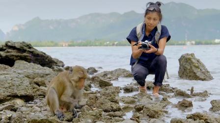 Video thumbnail: Nature Protecting Primates | Primates