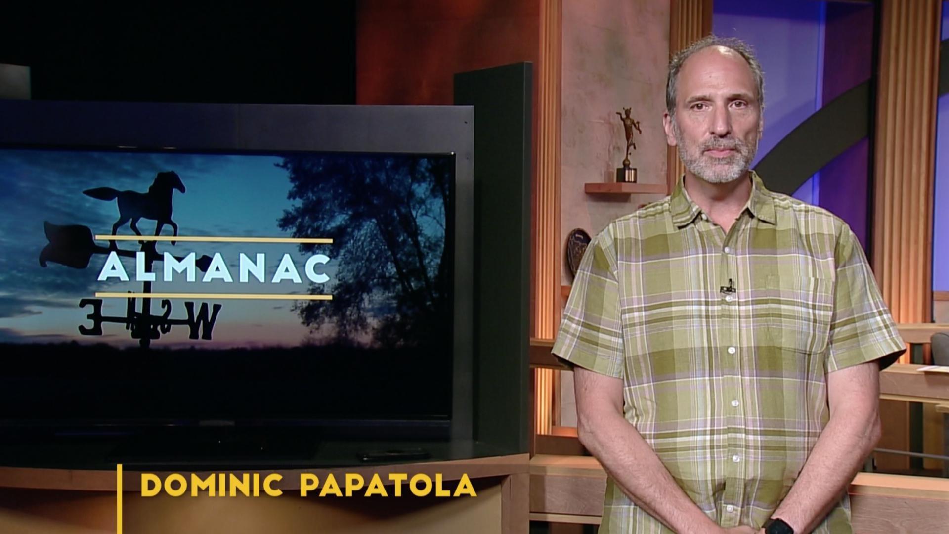Weekly Essay | Dominic Papatola