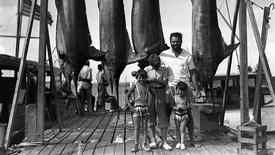 Mastering the Art of Nonfiction: asset-mezzanine-16x9